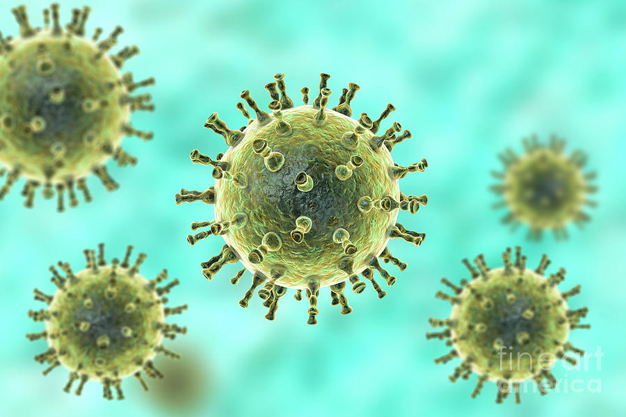 Chickenpox Virus #16 Photograph by Kateryna Kon/science Photo Library