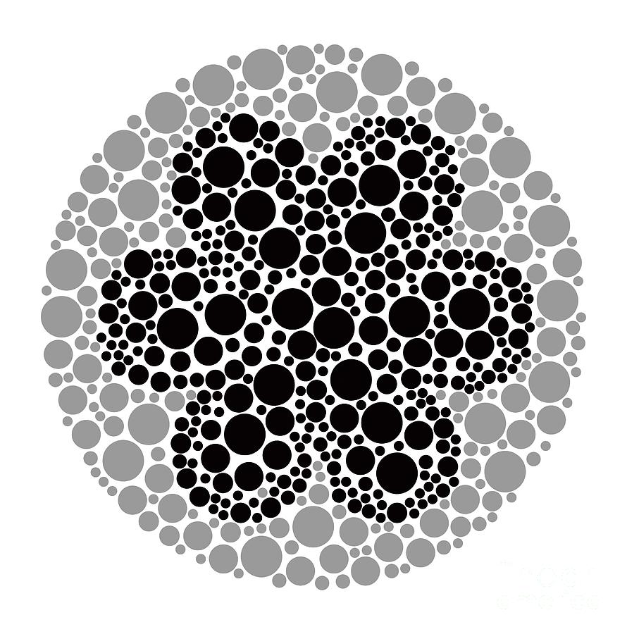 Colour Blindness Test Chart Photograph by Chongqing Tumi Technology Ltd ...