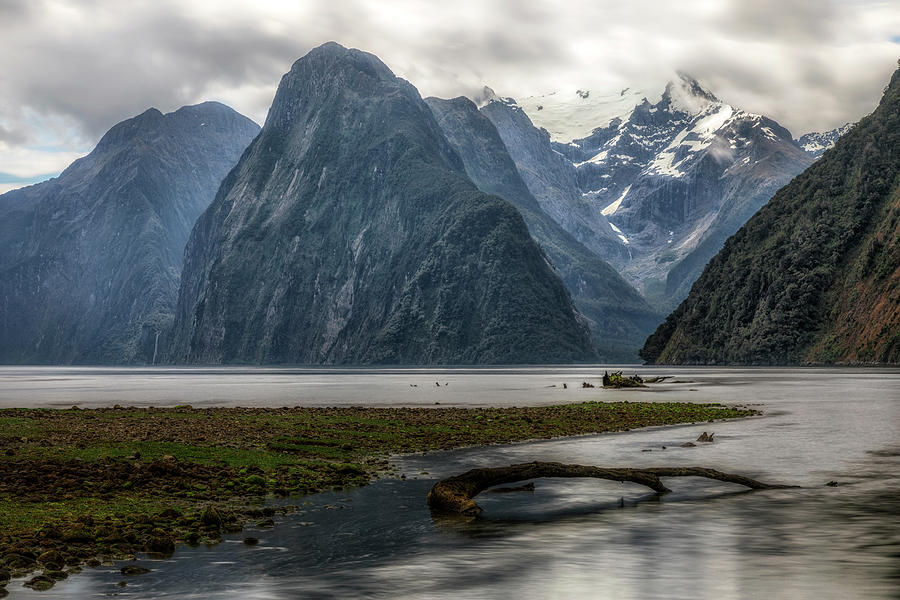 Milford Sound - New Zealand #16 Photograph by Joana Kruse