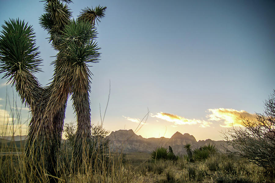 Red Rock Canyon Las Vegas Nevada At Sunset #16 Photograph by Alex Grichenko