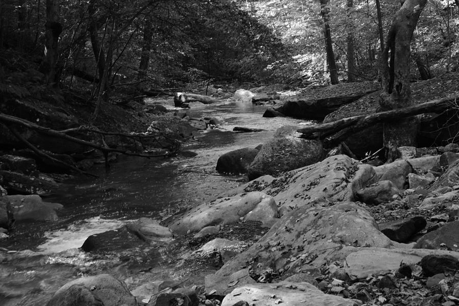 Roaring Run Trail Photograph By Anthony Latella 