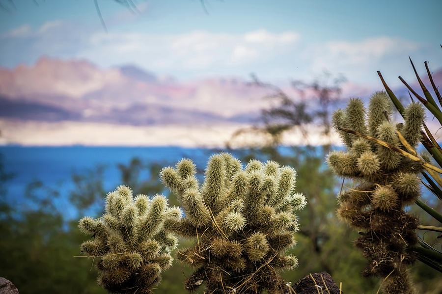 Scenes At Lake Mead Nevada Arizona Stateline #16 Photograph by Alex Grichenko