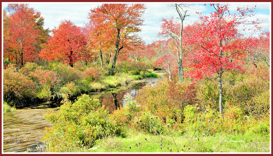 Stream in Autumn, Pocono Mountains, Pennsylvania #16 Photograph by A Macarthur Gurmankin