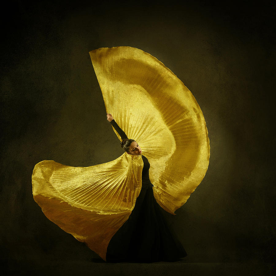Performance Photograph - The Girl & Dance #16 by Moein Hashemi Nasab