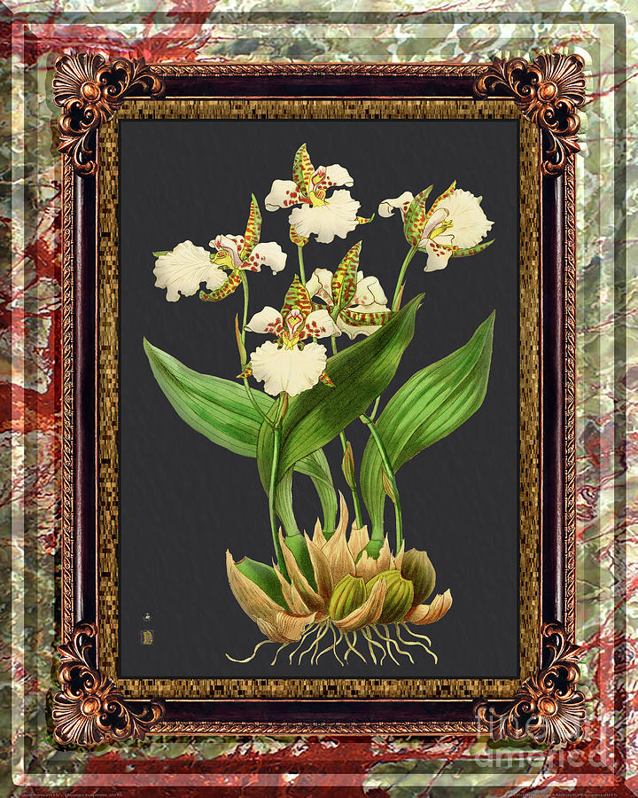 Vintage Orchid Antique Design Onyx Dark Pakistan Painting