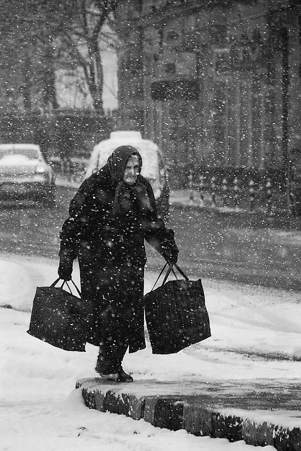 Winter Passengers #16 Photograph by Nicoleta Gabor