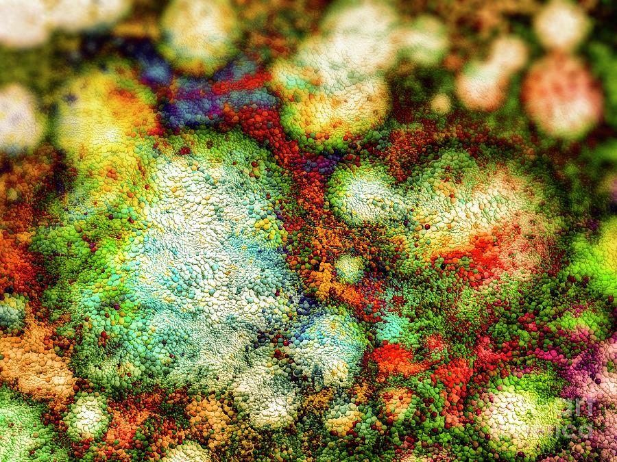 Abstract Photograph - Biofilm #17 by Giroscience/science Photo Library