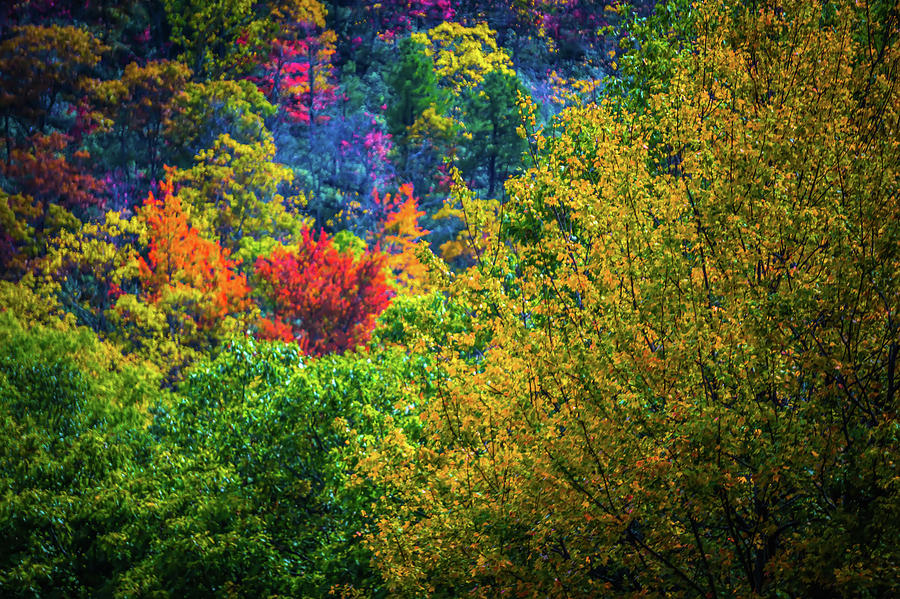 Blue Ridge And Smoky Mountains Changing Color In Fall #17 Photograph by Alex Grichenko