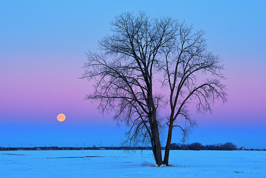 Canada, Manitoba, Dugald Photograph by Jaynes Gallery Fine Art America