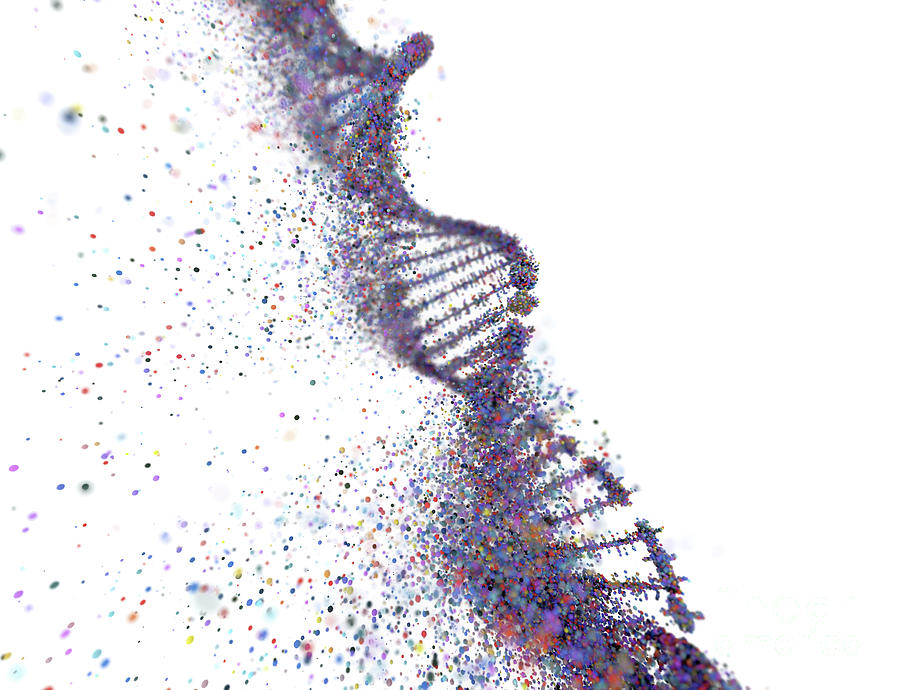 Dna Damage #17 Photograph by Ktsdesign/science Photo Library