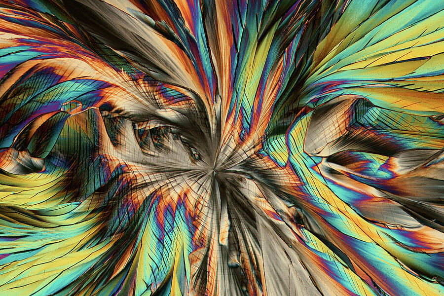 Essential Amino Acids, Polarized Light Photograph by Karl Gaff - Fine ...