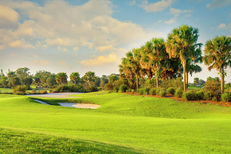 Golf Course In Boca Raton Florida #17 Digital Art by Laura Zeid