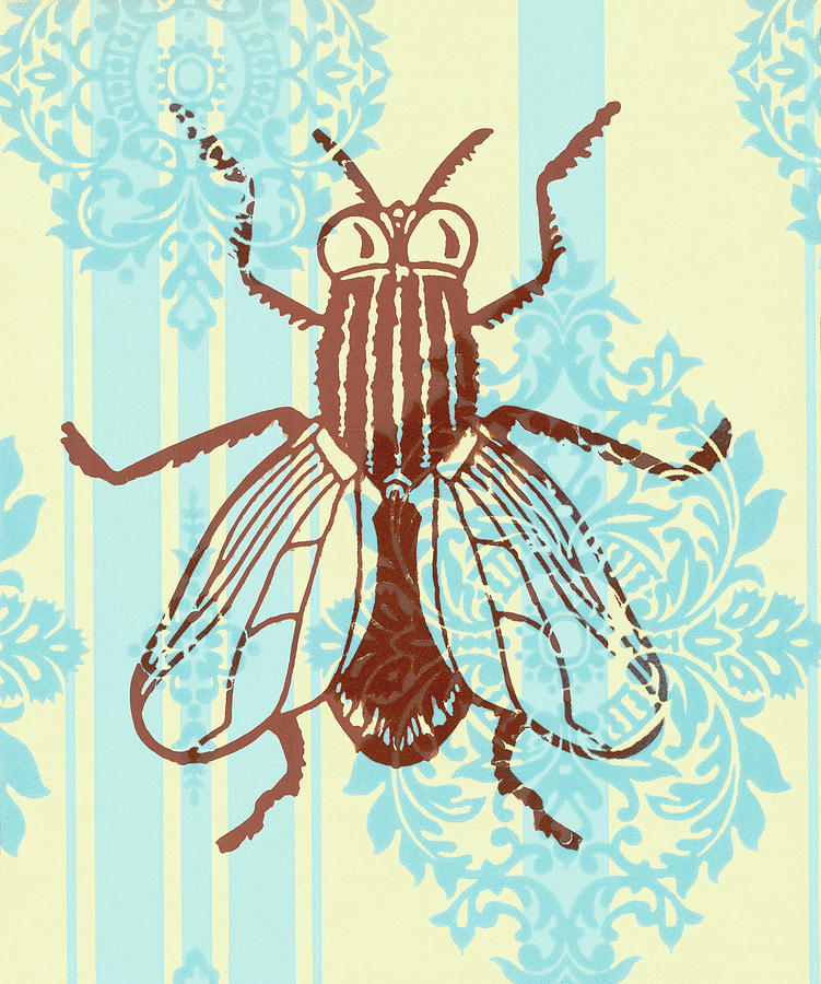 Vintage Drawing - Insect #17 by CSA Images