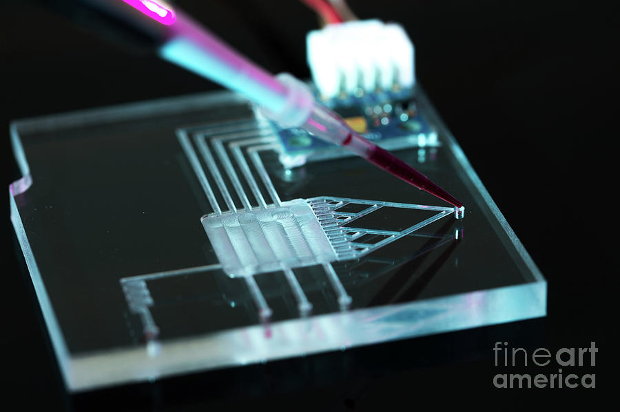 Lab On A Chip Photograph by Wladimir Bulgar/science Photo