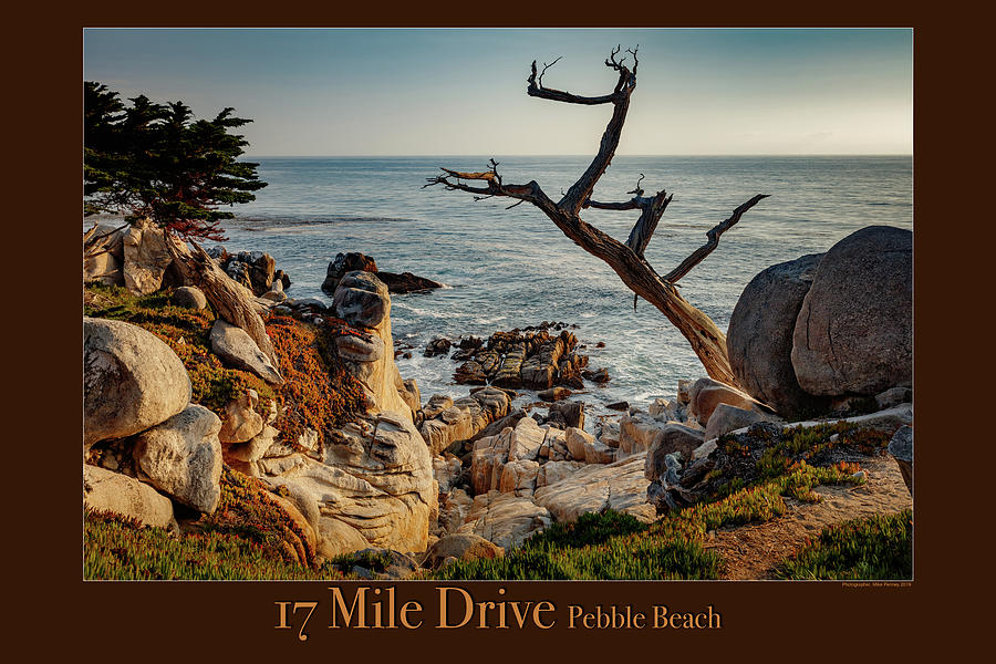 17 mile Drive 2 Photograph by Mike Penney
