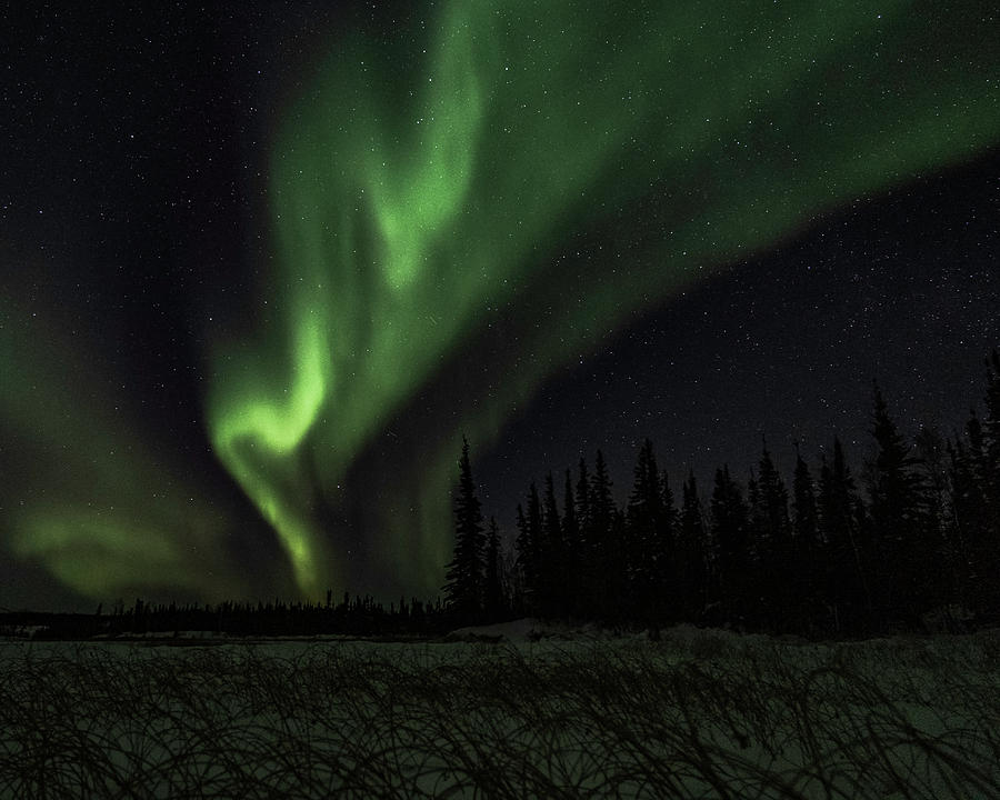 Northern Lights #17 Photograph by Laura Hedien