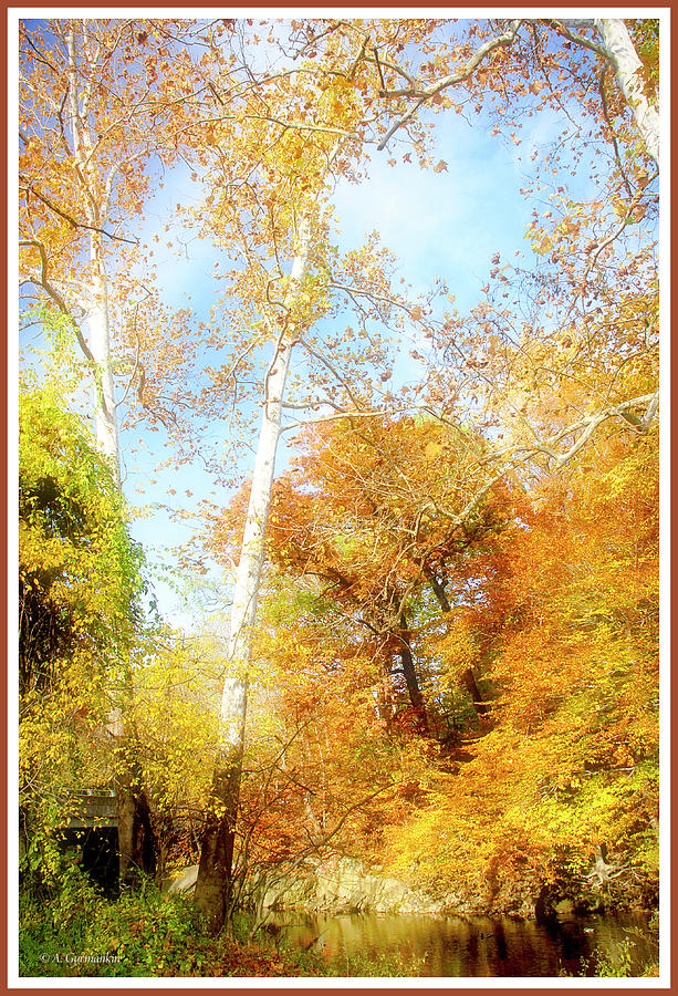Pennsylvania Stream in Autumn #17 Photograph by A Macarthur Gurmankin