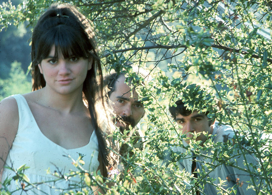 Photo Of Linda Ronstadt #17 Photograph by Michael Ochs Archives