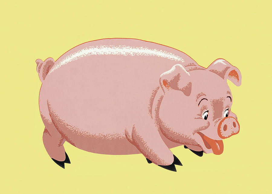 Vintage Drawing - Pig #17 by CSA Images