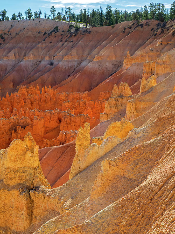 Bryce Canyon Photograph - Utah, Bryce Canyon National Park by Jamie and Judy Wild Bryce Canyon Photograph - Utah, Bryce Canyon National Park by Jamie and Judy Wild