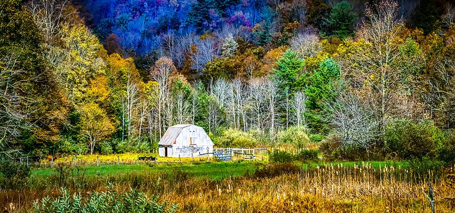 Views Along Virginia Creeper Trail During Autumn Photograph
