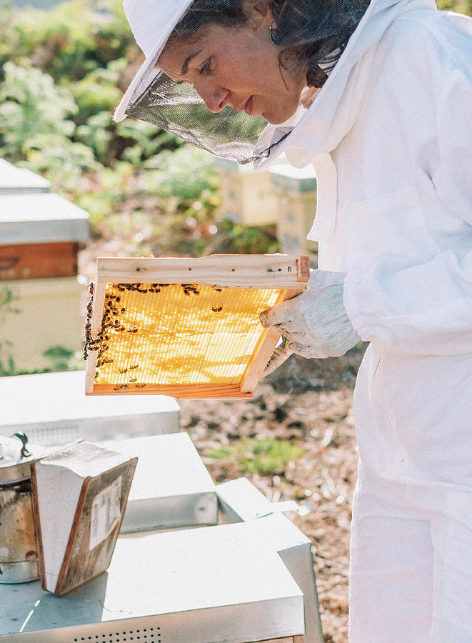 Nature Photograph - Young Woman Beekeeper At Work In A Nature #17 by Cavan Images