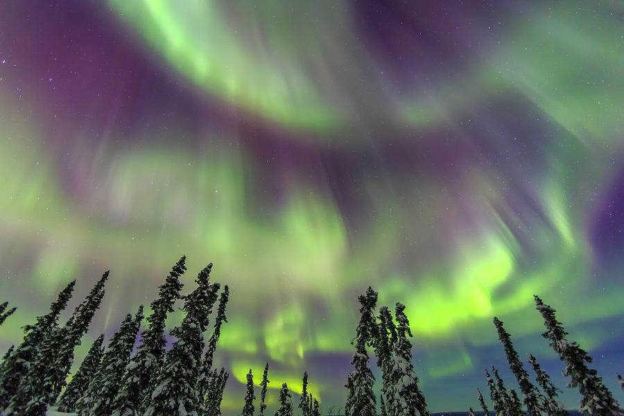Winter Photograph - Aurora Borealis, Northern Lights #18 by Stuart Westmorland