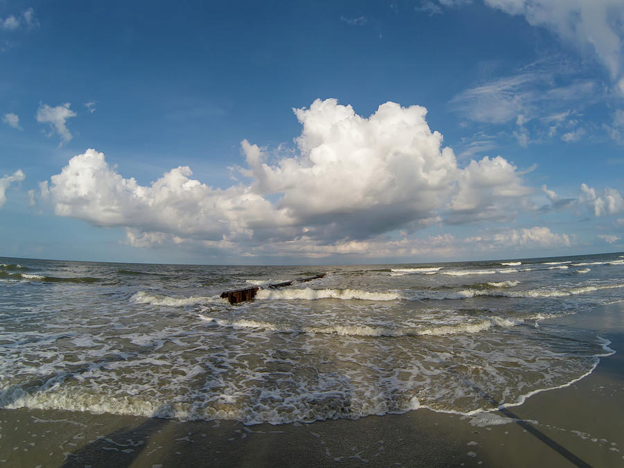 Beach scenes at hunting island south carolina #18 Photograph by Alex Grichenko