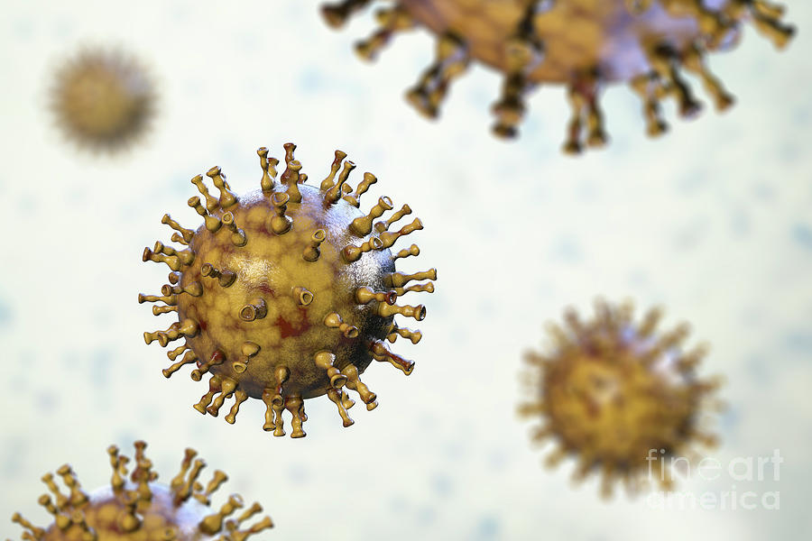 Chickenpox Virus #18 Photograph by Kateryna Kon/science Photo Library