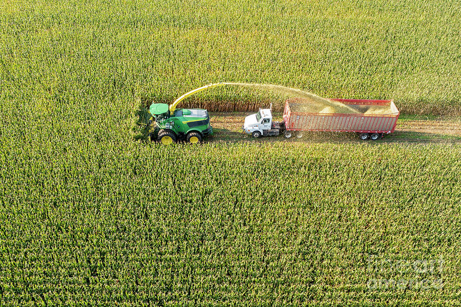 Corn Harvest Photograph By Jim Westscience Photo Library Pixels