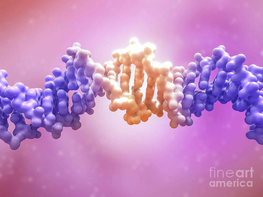 Dna Editing #18 Photograph by Maurizio De Angelis/science Photo Library