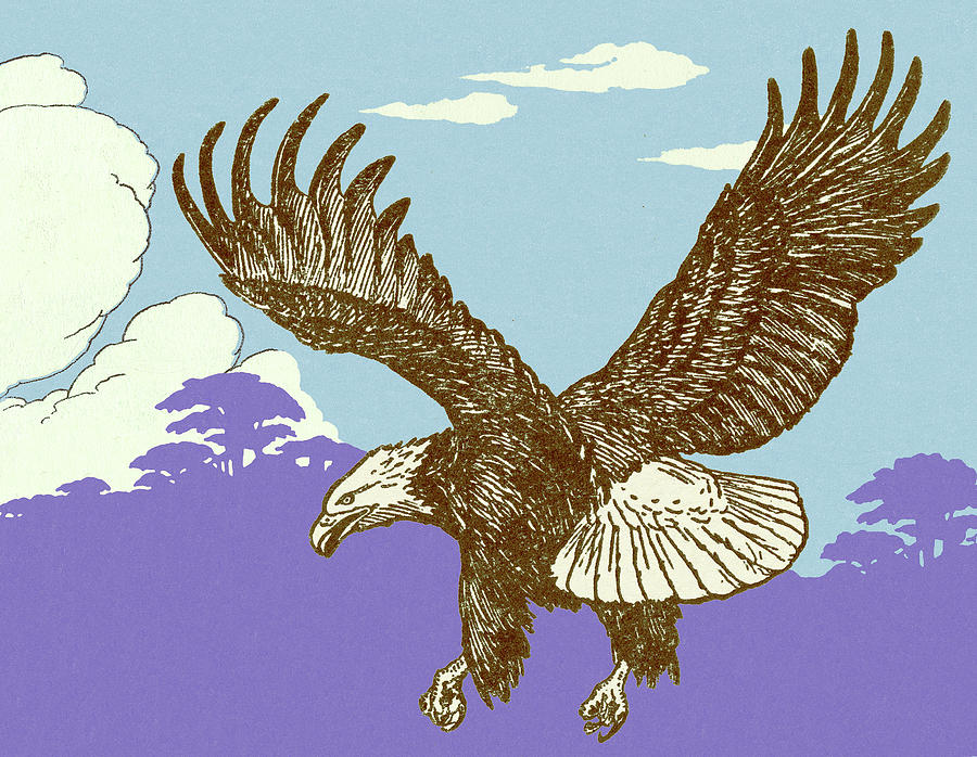 Eagle Drawing - Eagle #18 by CSA Images