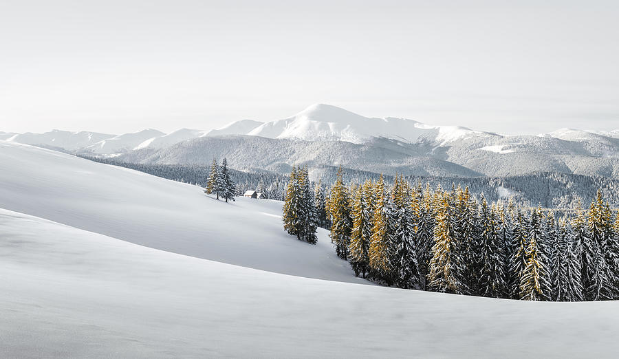 Winter Photograph - Fantastic Winter Landscape With Snowy #18 by Ivan Kmit