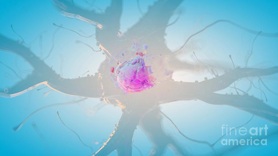 Illustration Of A Human Nerve Cell #18 Photograph by Sebastian Kaulitzki/science Photo Library