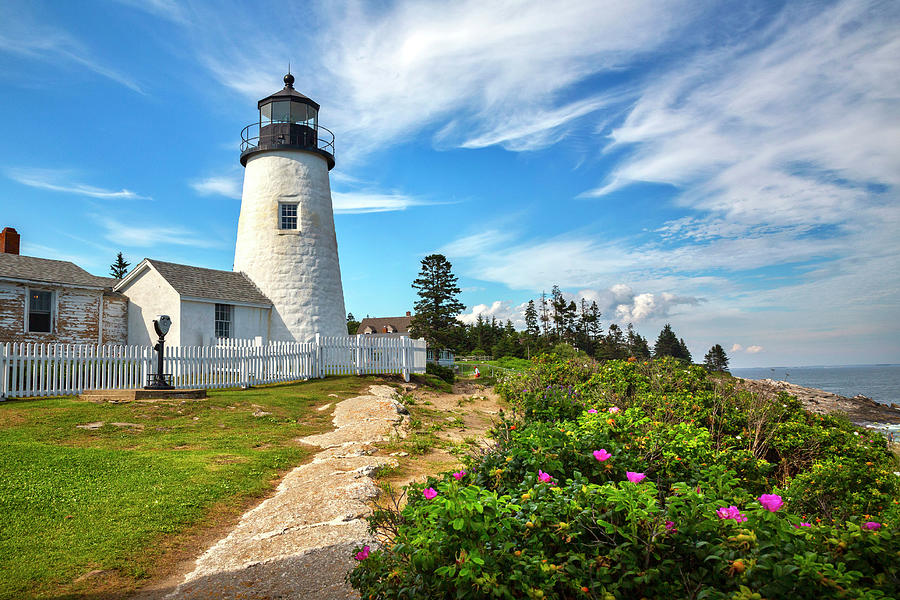 Maine, Bristol, Pemaquid Lighthouse #18 Digital Art by Andres Uribe