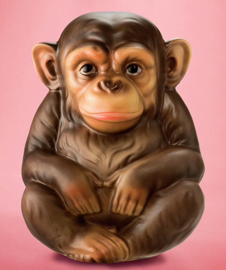 Jungle Drawing - Monkey #18 by CSA Images