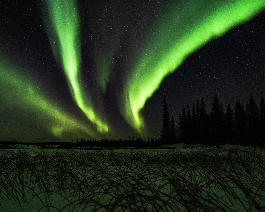 Northern Lights #18 Photograph by Laura Hedien
