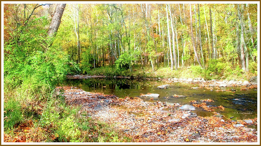 Pennsylvania Stream in Autumn #18 Photograph by A Macarthur Gurmankin