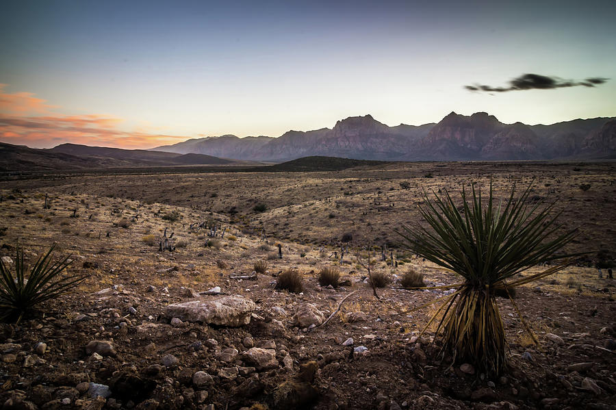 Red Rock Canyon Las Vegas Nevada At Sunset #18 Photograph by Alex Grichenko