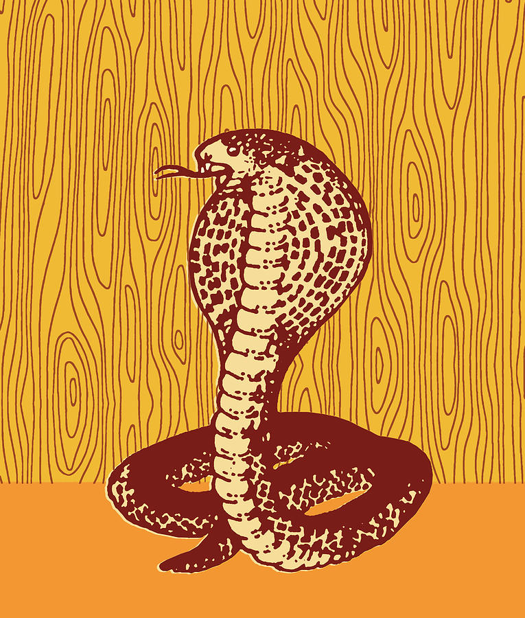 Cobra Drawing - Snake #18 by CSA Images