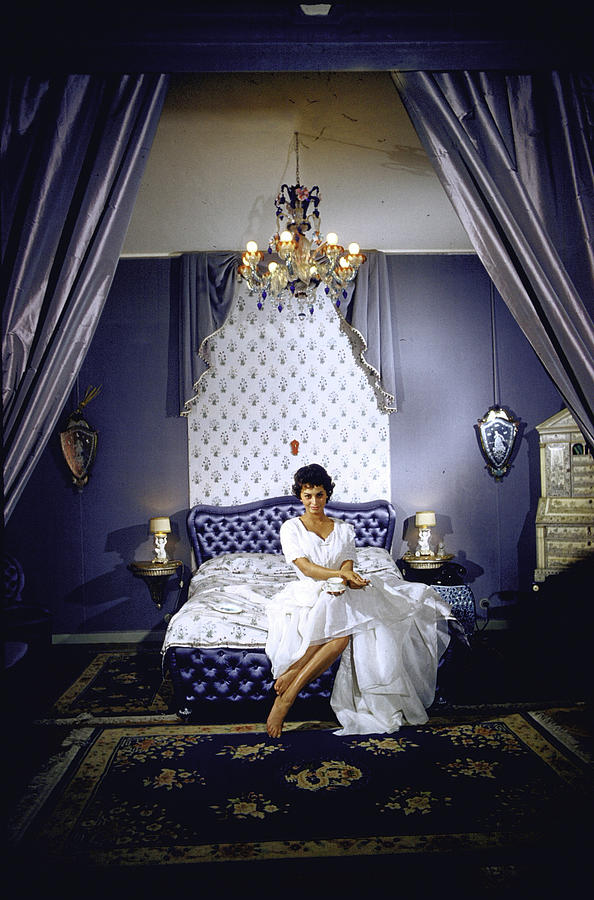 Sophia Loren Photograph - Sophia Loren #3 by Loomis Dean