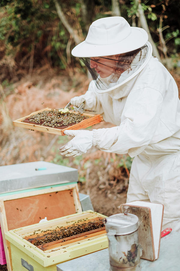 Nature Photograph - Young Woman Beekeeper At Work In A Nature #18 by Cavan Images