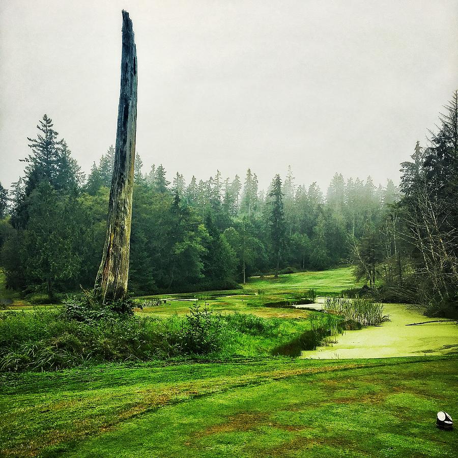 18th Hole, Port Ludlow GC Photograph by Jerry Abbott