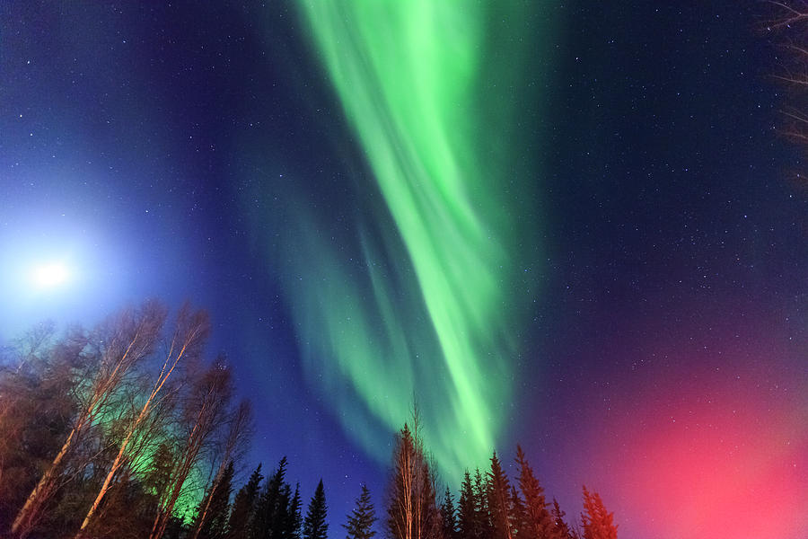 Winter Photograph - Aurora Borealis, Northern Lights #19 by Stuart Westmorland