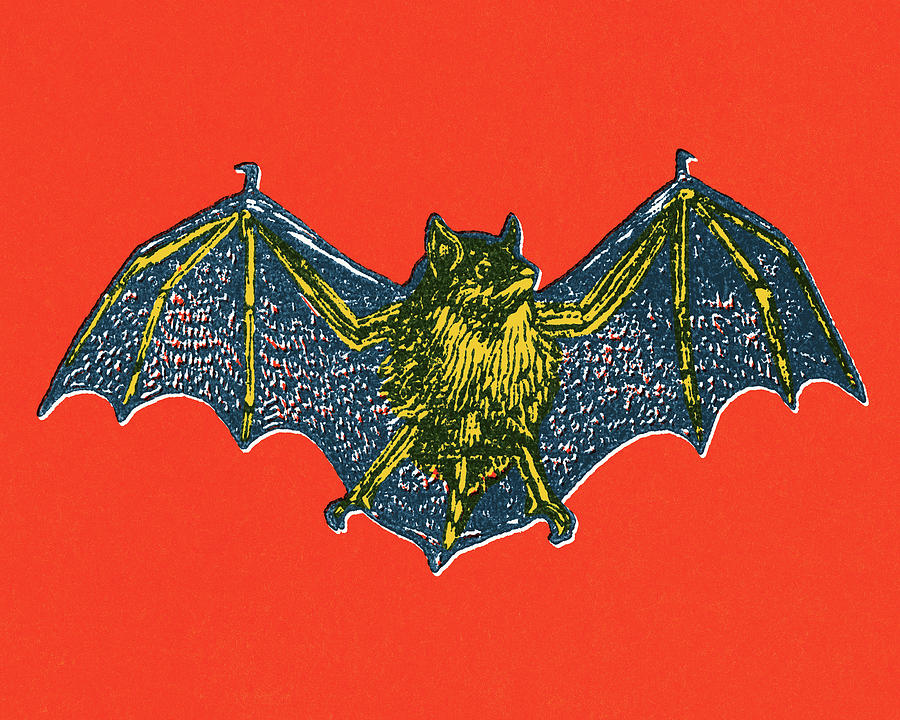 Halloween Drawing - Bat #19 by CSA Images