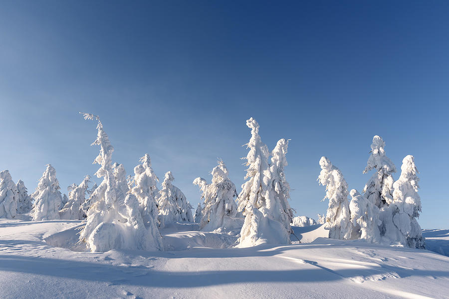 Winter Photograph - Fantastic Winter Landscape With Snowy #19 by Ivan Kmit