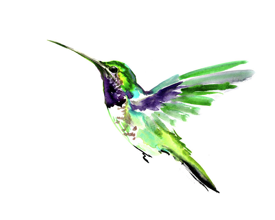 Hummingbird #19 Painting by Suren Nersisyan