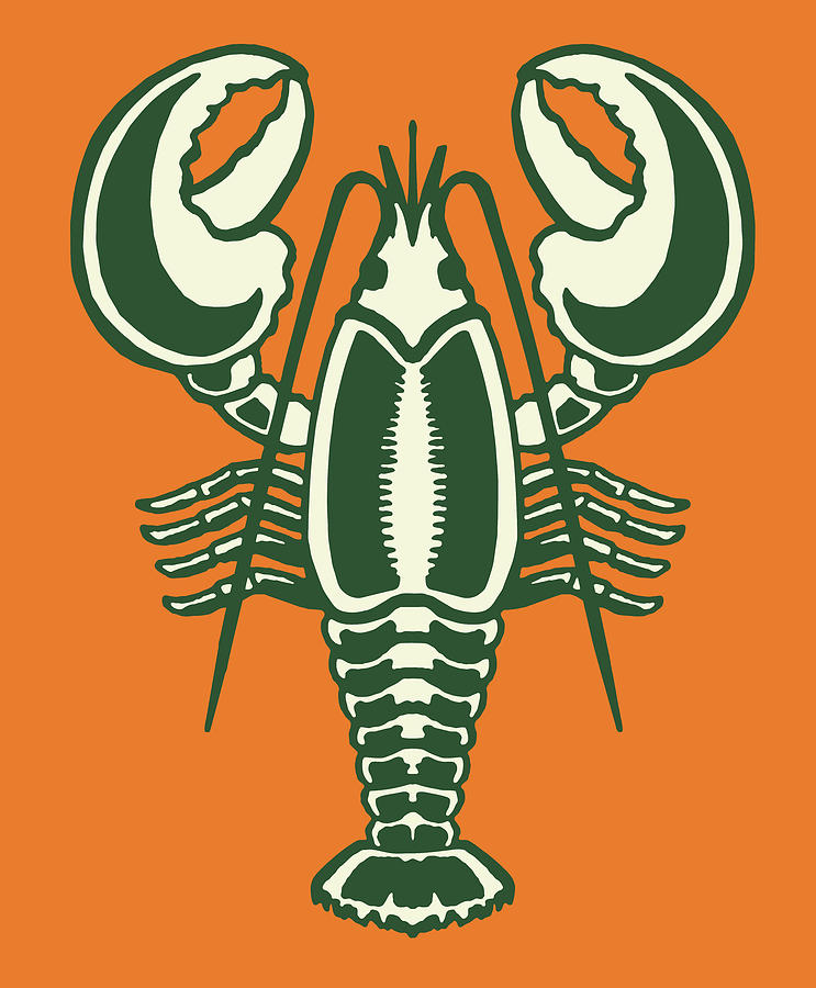Vintage Drawing - Lobster #19 by CSA Images