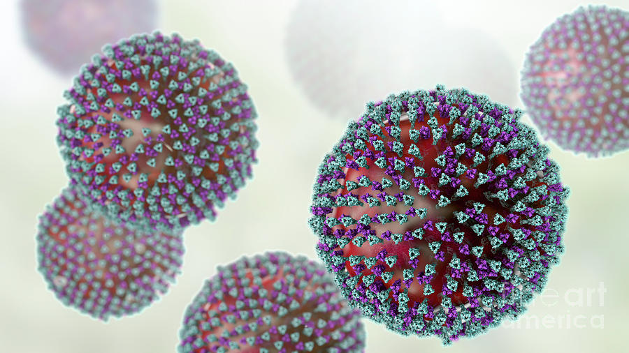 3 Dimensional Photograph - Measles Virus #19 by Kateryna Kon/science Photo Library