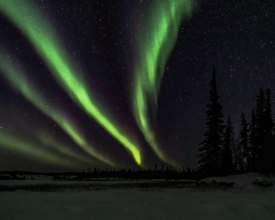 Northern LIghts #19 Photograph by Laura Hedien